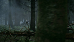 extant_GameOfThrones_3x04-AndNowHisWatchIsEnded_1837
