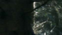 extant_GameOfThrones_3x04-AndNowHisWatchIsEnded_1910