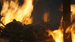 extant_GameOfThrones_3x04-AndNowHisWatchIsEnded_3626