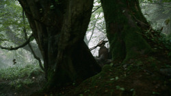 extant_GameOfThrones_3x04-AndNowHisWatchIsEnded_4261