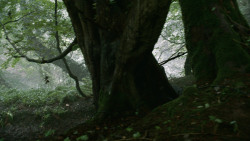 extant_GameOfThrones_3x04-AndNowHisWatchIsEnded_4262
