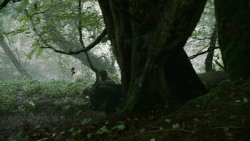 extant_GameOfThrones_3x04-AndNowHisWatchIsEnded_4263