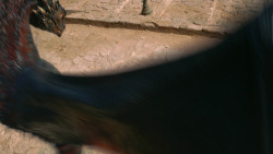 extant_GameOfThrones_3x04-AndNowHisWatchIsEnded_5064