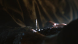 extant_GameOfThrones_3x04-KissedByFire_1504