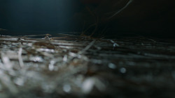extant_GameOfThrones_3x04-KissedByFire_2058