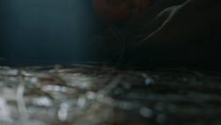 extant_GameOfThrones_3x04-KissedByFire_2060