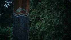 extant_GameOfThrones_3x04-KissedByFire_2467