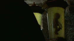 extant_GameOfThrones_3x04-KissedByFire_3186