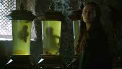 extant_GameOfThrones_3x04-KissedByFire_3225