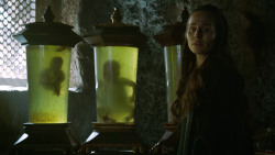 extant_GameOfThrones_3x04-KissedByFire_3231