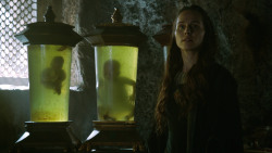 extant_GameOfThrones_3x04-KissedByFire_3286