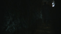 extant_GameOfThrones_3x04-KissedByFire_3307