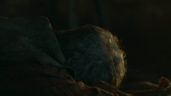 extant_GameOfThrones_3x04-KissedByFire_4234