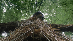 extant_GameOfThrones_3x05-TheClimb_1149