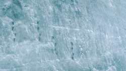 extant_GameOfThrones_3x05-TheClimb_2094
