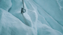 extant_GameOfThrones_3x05-TheClimb_2201