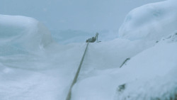 extant_GameOfThrones_3x05-TheClimb_5240