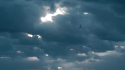 extant_GameOfThrones_3x05-TheClimb_5311