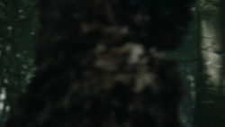 extant_GameOfThrones_3x07-TheBearAndTheMaidenFair_0828