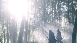 extant_GameOfThrones_3x07-TheBearAndTheMaidenFair_0899
