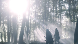 extant_GameOfThrones_3x07-TheBearAndTheMaidenFair_0900