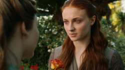 extant_GameOfThrones_3x07-TheBearAndTheMaidenFair_1134