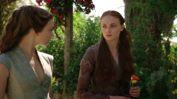 extant_GameOfThrones_3x07-TheBearAndTheMaidenFair_1245