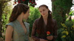 extant_GameOfThrones_3x07-TheBearAndTheMaidenFair_1247