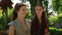 extant_GameOfThrones_3x07-TheBearAndTheMaidenFair_1256