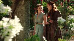 extant_GameOfThrones_3x07-TheBearAndTheMaidenFair_1260