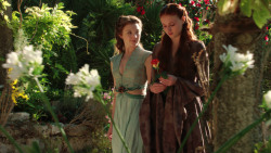 extant_GameOfThrones_3x07-TheBearAndTheMaidenFair_1264