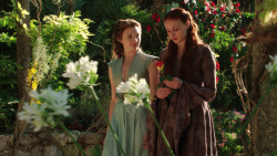 extant_GameOfThrones_3x07-TheBearAndTheMaidenFair_1265