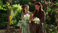 extant_GameOfThrones_3x07-TheBearAndTheMaidenFair_1266