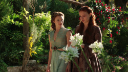 extant_GameOfThrones_3x07-TheBearAndTheMaidenFair_1267