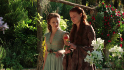 extant_GameOfThrones_3x07-TheBearAndTheMaidenFair_1269