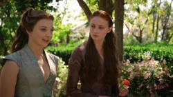 extant_GameOfThrones_3x07-TheBearAndTheMaidenFair_1282