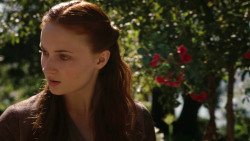 extant_GameOfThrones_3x07-TheBearAndTheMaidenFair_1334