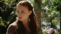 extant_GameOfThrones_3x07-TheBearAndTheMaidenFair_1348