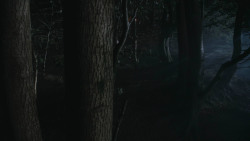 extant_GameOfThrones_3x07-TheBearAndTheMaidenFair_3280