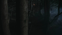 extant_GameOfThrones_3x07-TheBearAndTheMaidenFair_3281