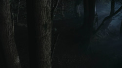 extant_GameOfThrones_3x07-TheBearAndTheMaidenFair_3287