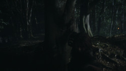 extant_GameOfThrones_3x07-TheBearAndTheMaidenFair_3292