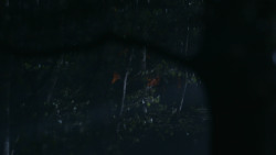 extant_GameOfThrones_3x07-TheBearAndTheMaidenFair_3299