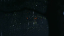 extant_GameOfThrones_3x07-TheBearAndTheMaidenFair_3301