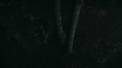 extant_GameOfThrones_3x07-TheBearAndTheMaidenFair_3319