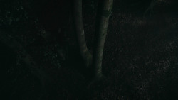 extant_GameOfThrones_3x07-TheBearAndTheMaidenFair_3320
