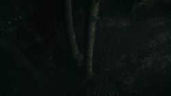 extant_GameOfThrones_3x07-TheBearAndTheMaidenFair_3321