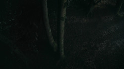 extant_GameOfThrones_3x07-TheBearAndTheMaidenFair_3322