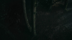 extant_GameOfThrones_3x07-TheBearAndTheMaidenFair_3323