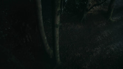 extant_GameOfThrones_3x07-TheBearAndTheMaidenFair_3324